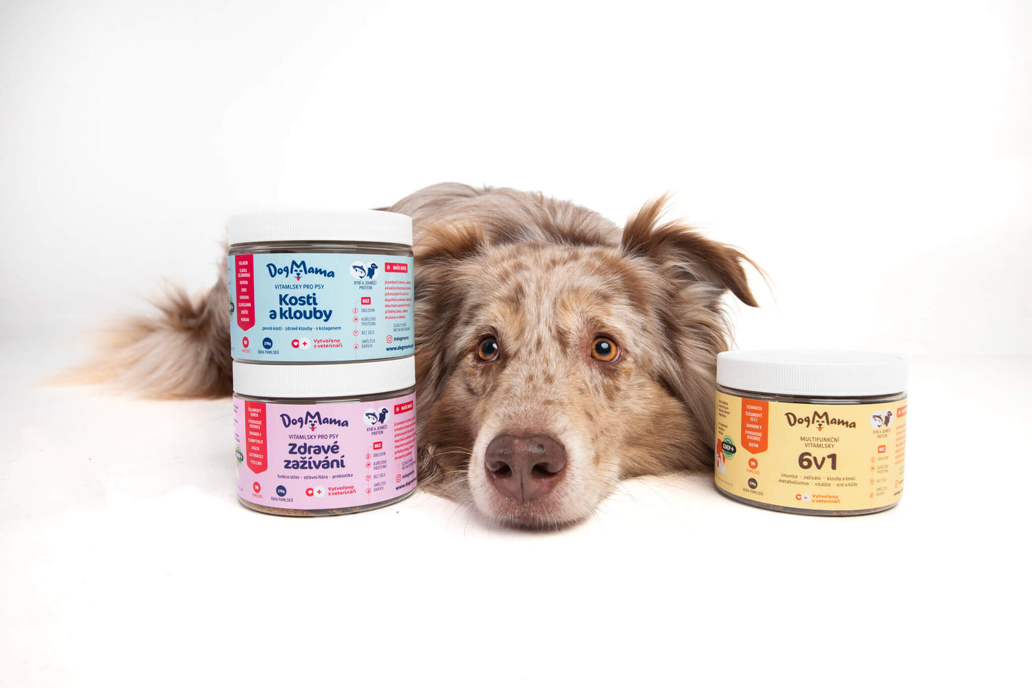 Kvalitný doplnok pre zdravie psov Vitamlsky Dogmama od Veroniky Akimerlinovej