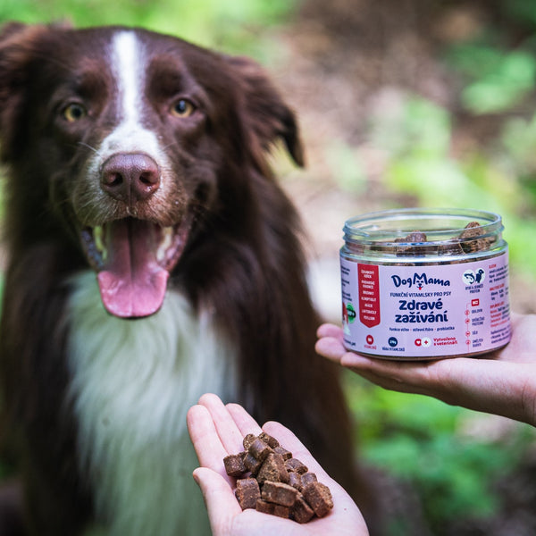 Zdravé zažívání + Probiotika