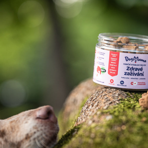 Zdravé zažívání + Probiotika