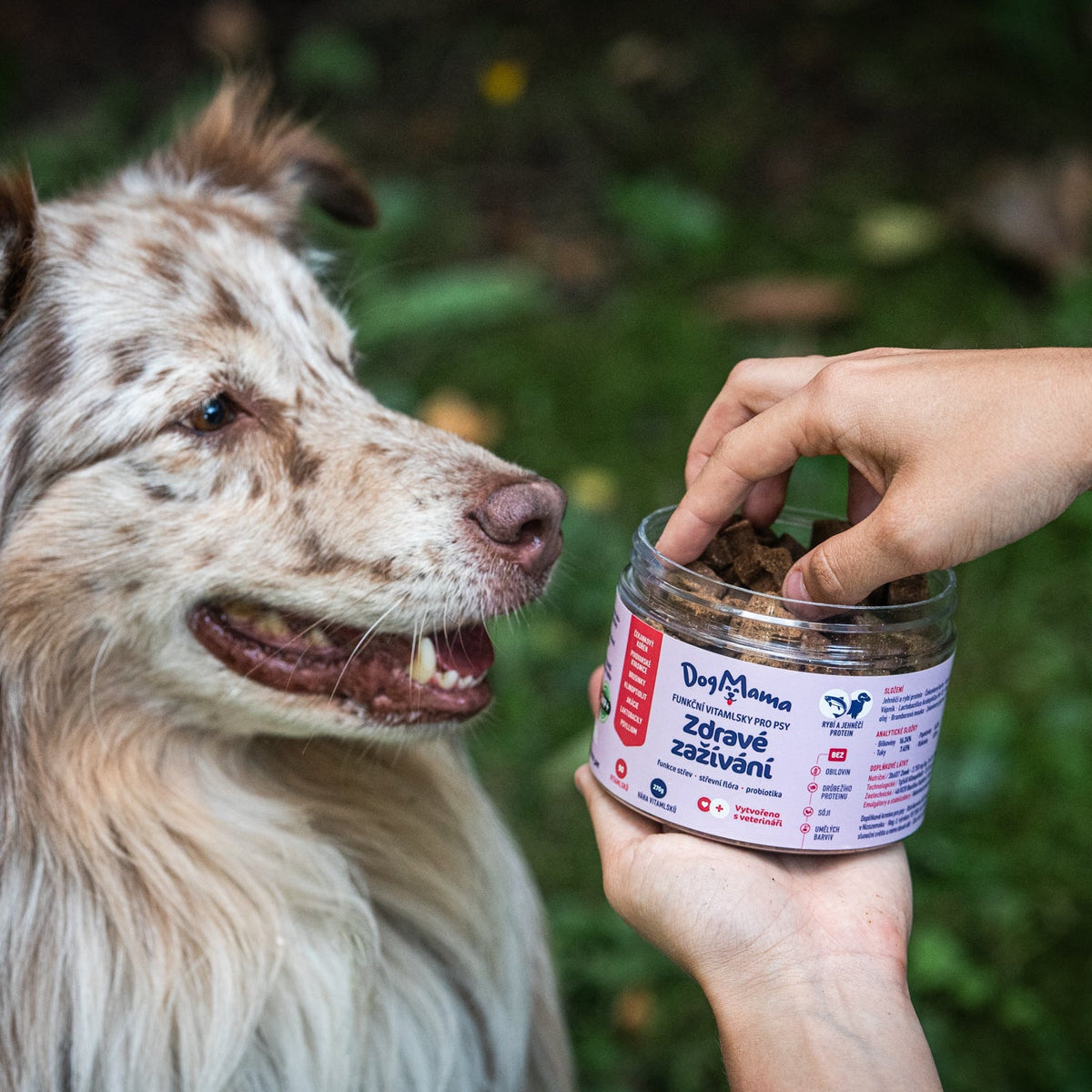 Zdravé zažívání + Probiotika