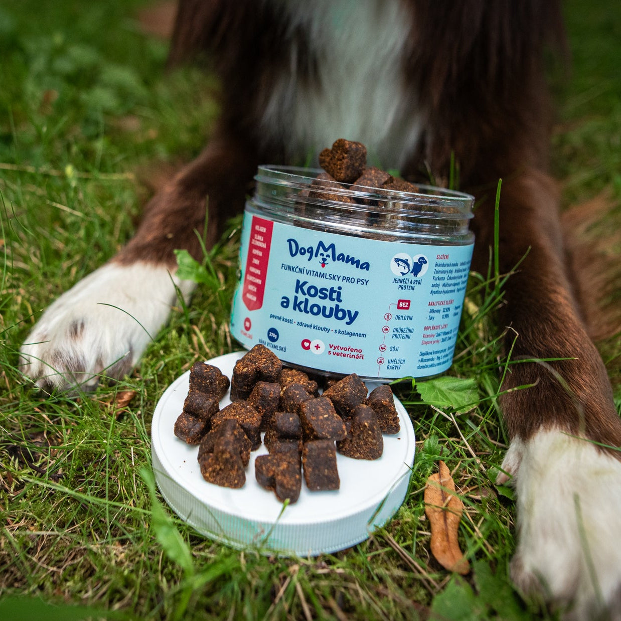 Kosti & Kĺby + Kolagén