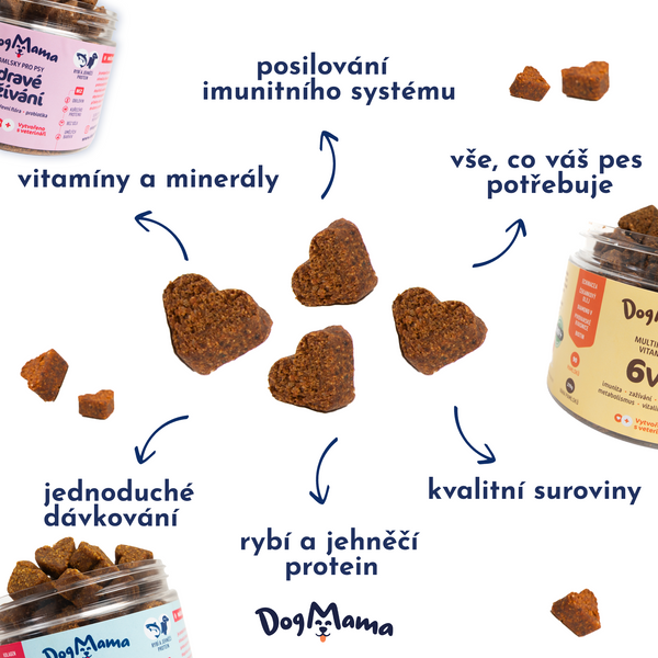 Kosti & Kĺby + Kolagén